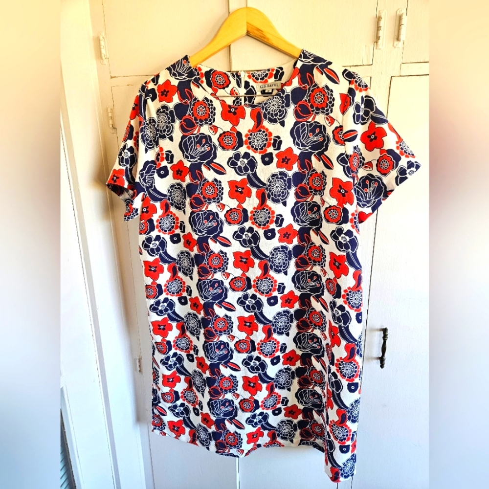 COPY - Alice and you retro vibe dress Size XL